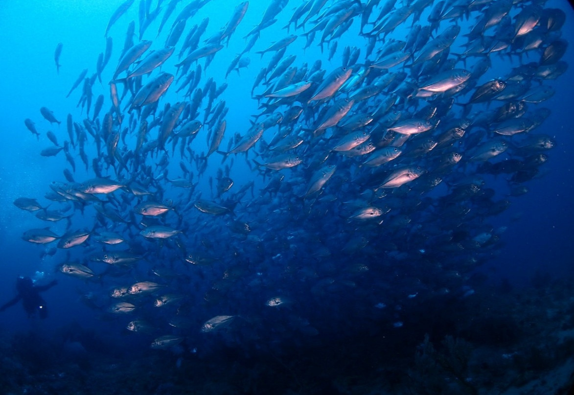 1화 미쳐야 미친다.jpg