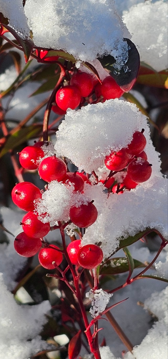 Emotion_Here and Now_writer_사진_20251205_2.jpg