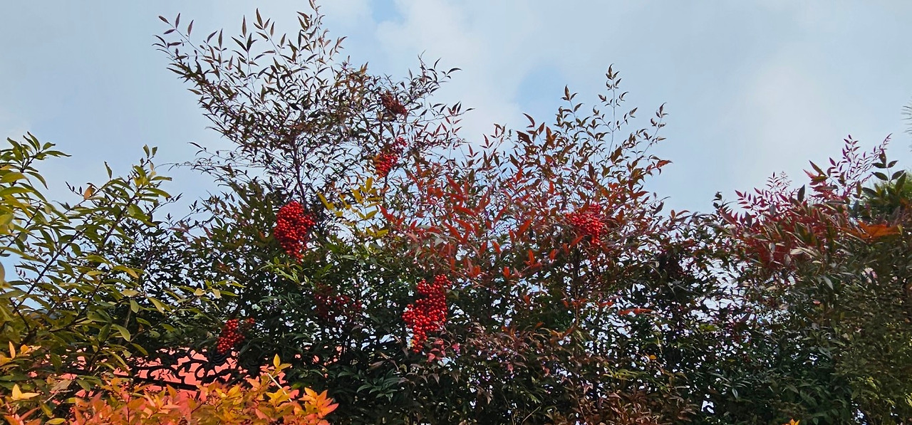 Emotion_Here and Now_writer_사진_20251205_20.jpg