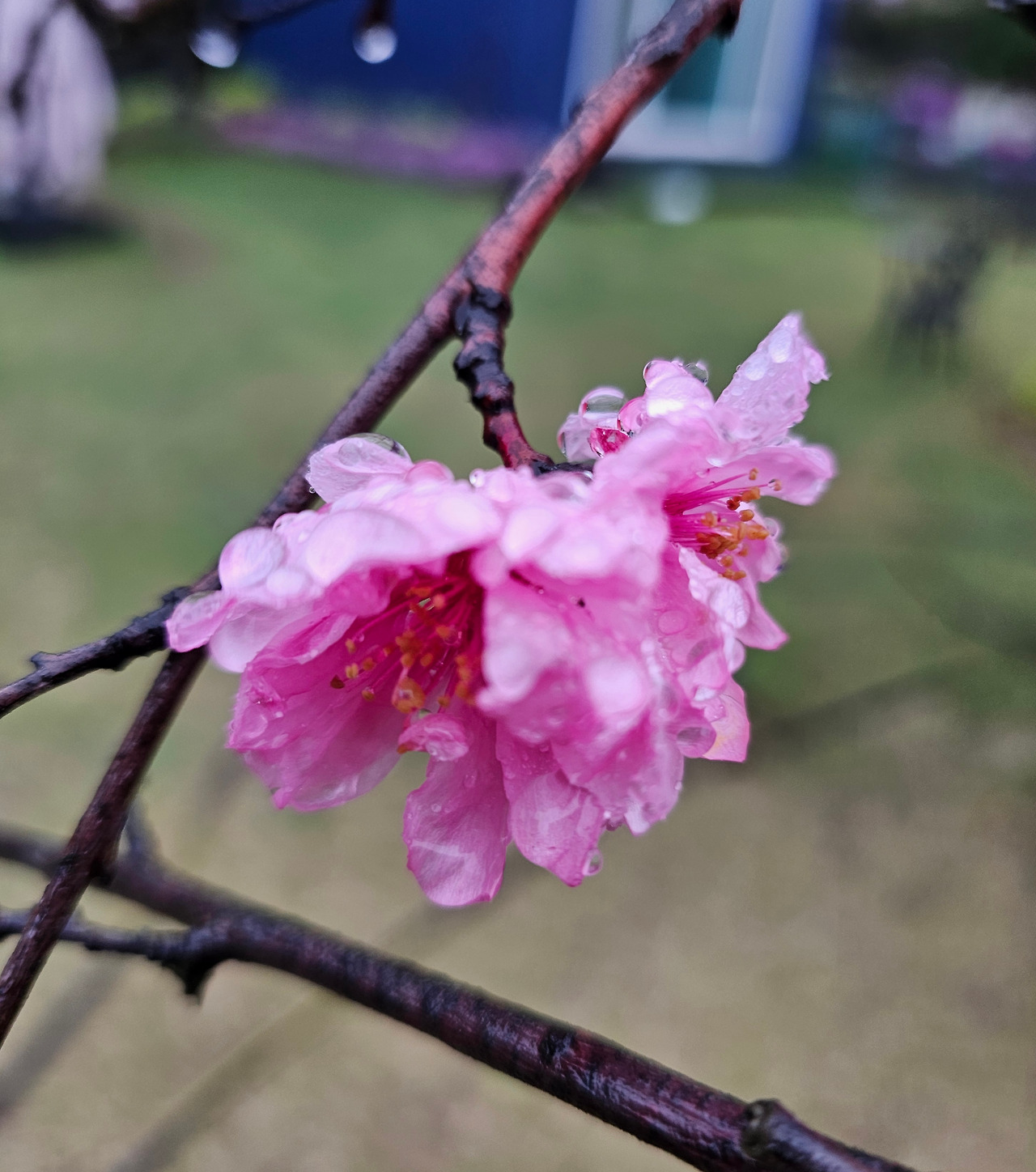 20240416_080254 - 복사본.jpg