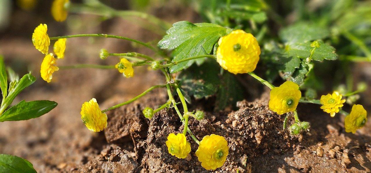 Emotion_Here and Now_writer_사진_20250504_7.jpg