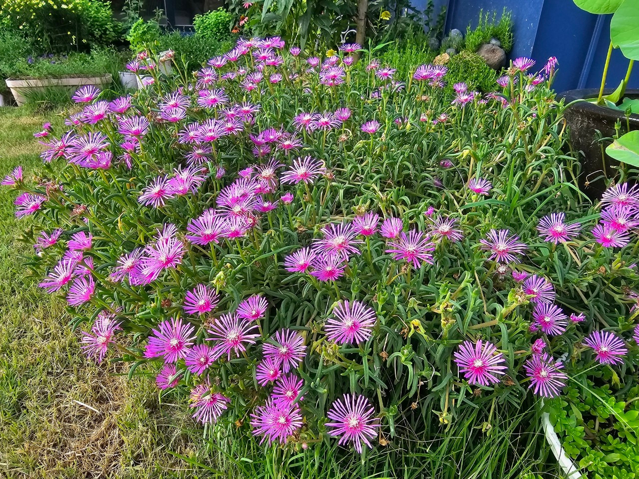 Emotion_Here and Now_writer_사진_20250728_10.jpg