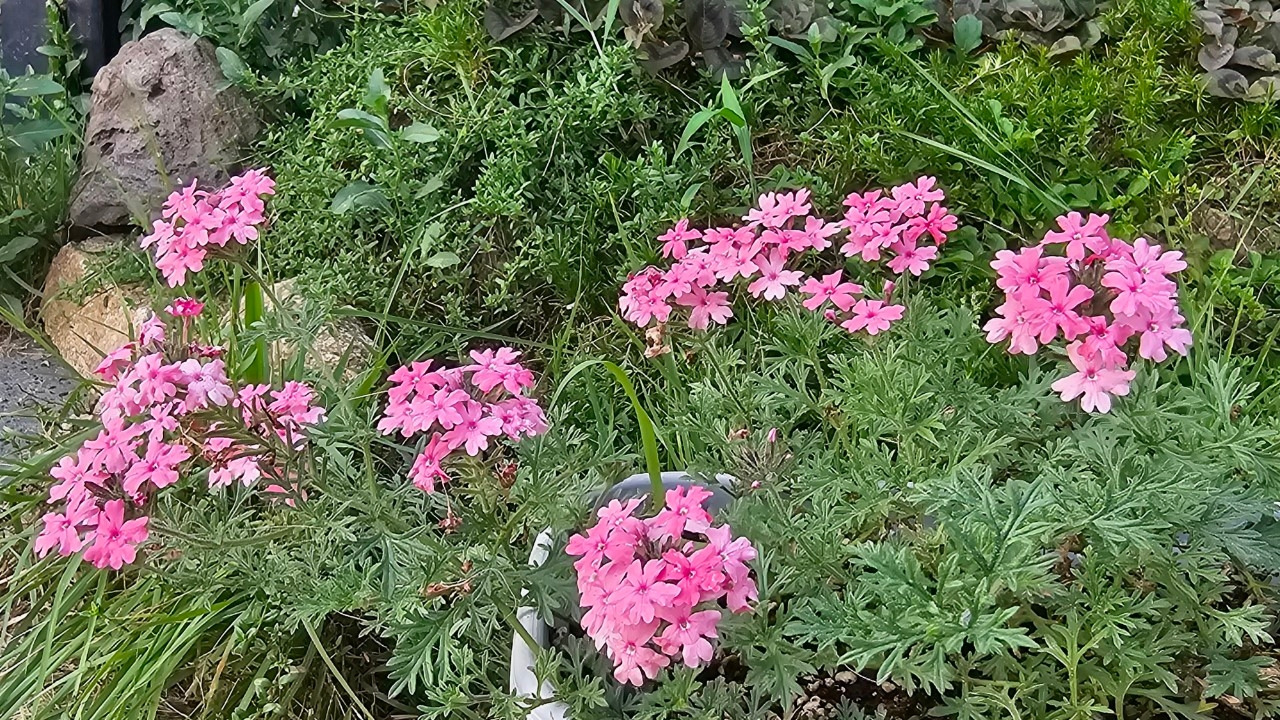 Emotion_Here and Now_writer_사진_20250728_1.jpg