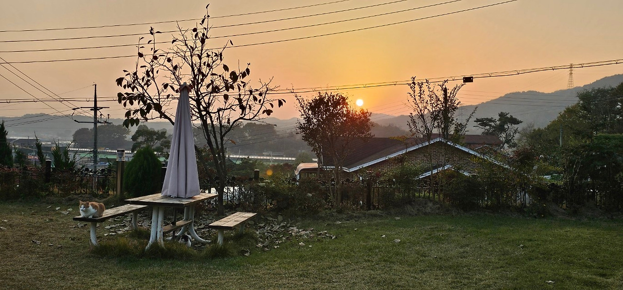 고양이 풍경고양이 풍경2.jpg