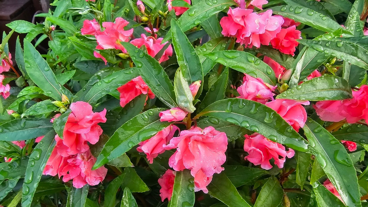 Emotion_Here and Now_writer_사진_20250816_5.jpg