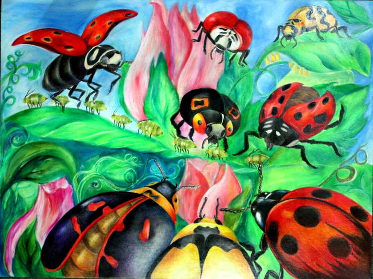 #12.+ladybug+illustration.jpg