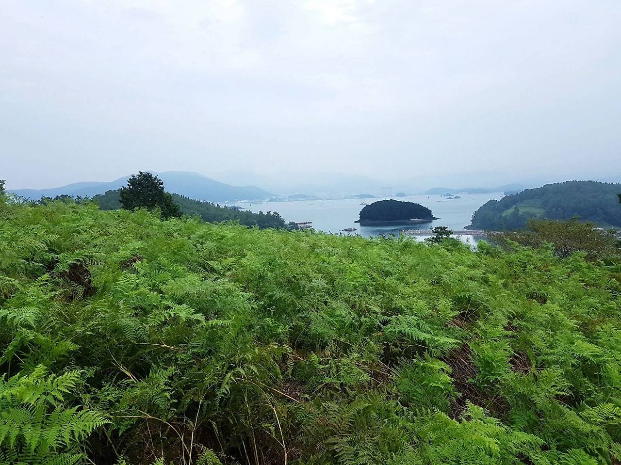 버려진 냄비01.jpg