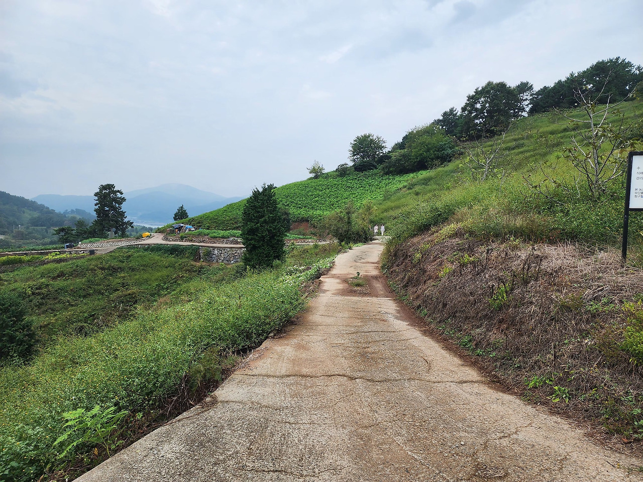 버려진 냄비03.jpg