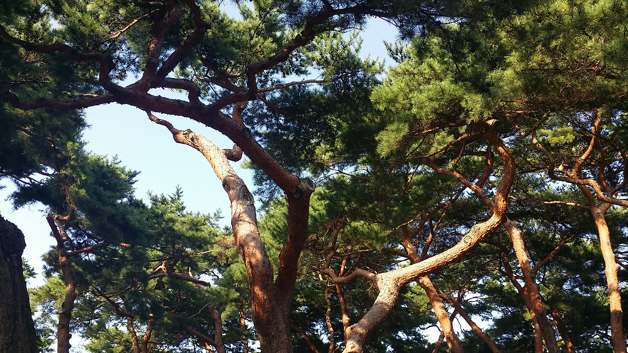 20170918_161915 (1).jpg