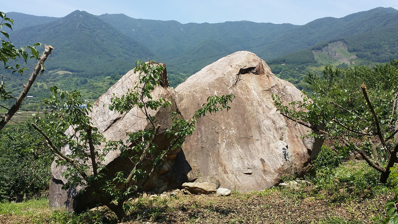 2014-06-16 11.26.26.jpg