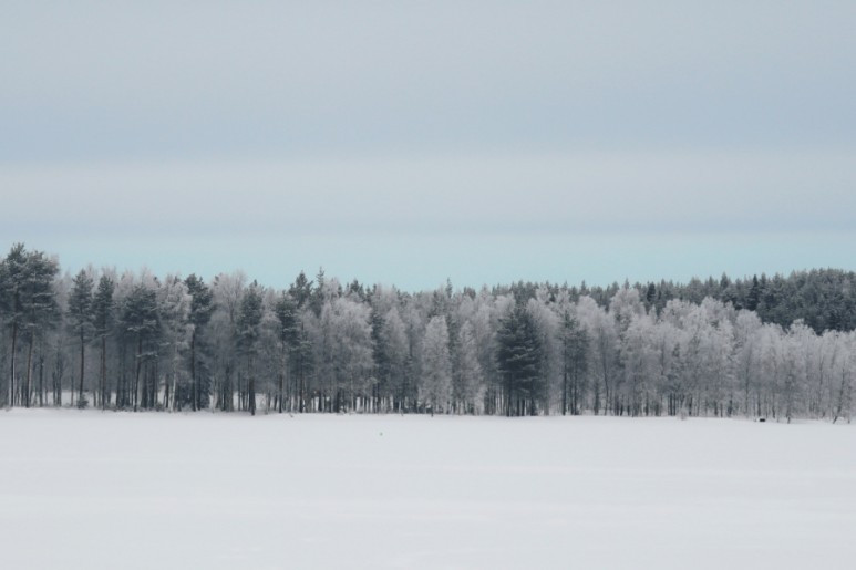 CYMERA＿20220503＿112829 (1).jpg