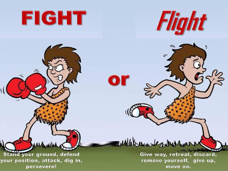 Fight%2BOr%2BFlight.jpg