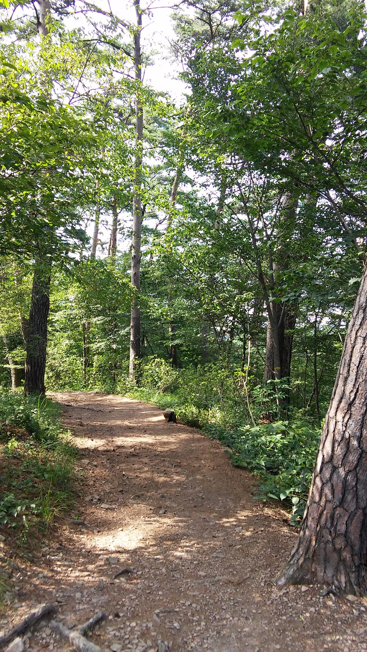 스마트폰 사진16.10.05 3462.jpg