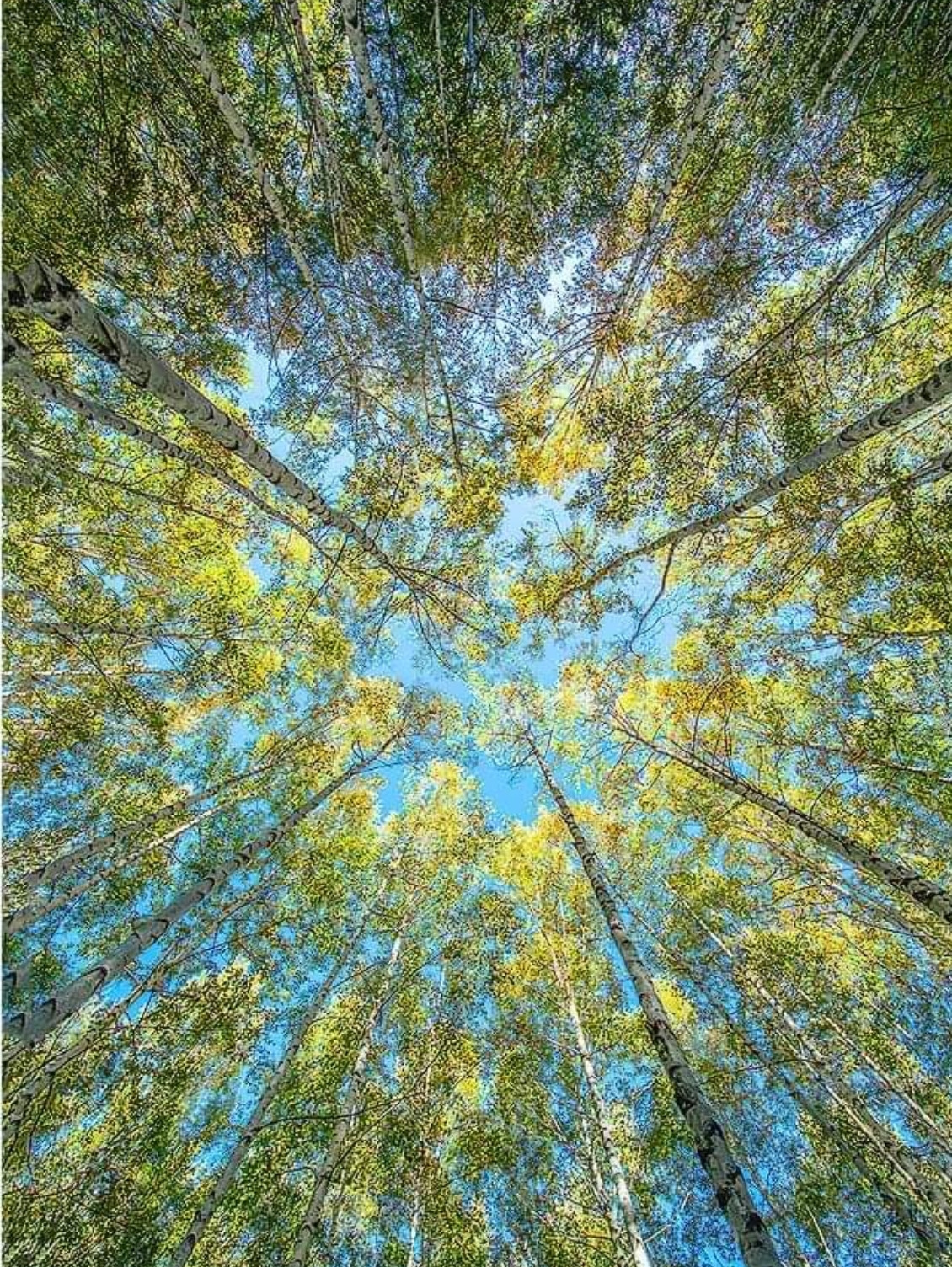 SmartSelect_20230409_101134_Gallery (2).jpg