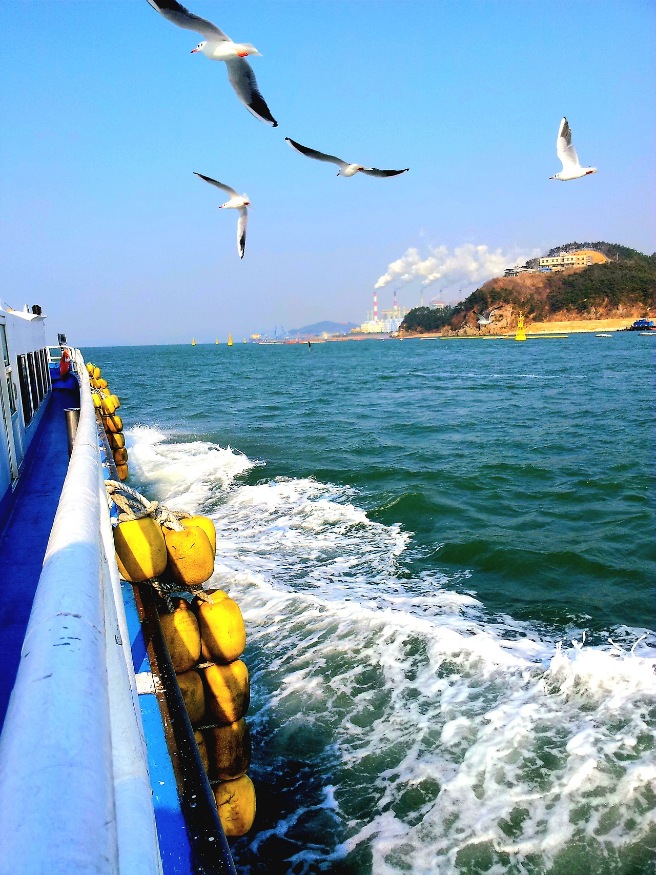 MyPhoto_1109328167_0851 (1).jpg