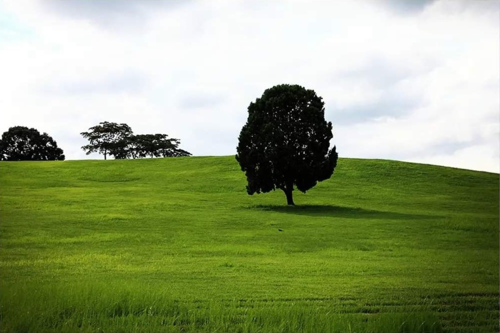 FB_IMG_1680756458808 (2).jpg