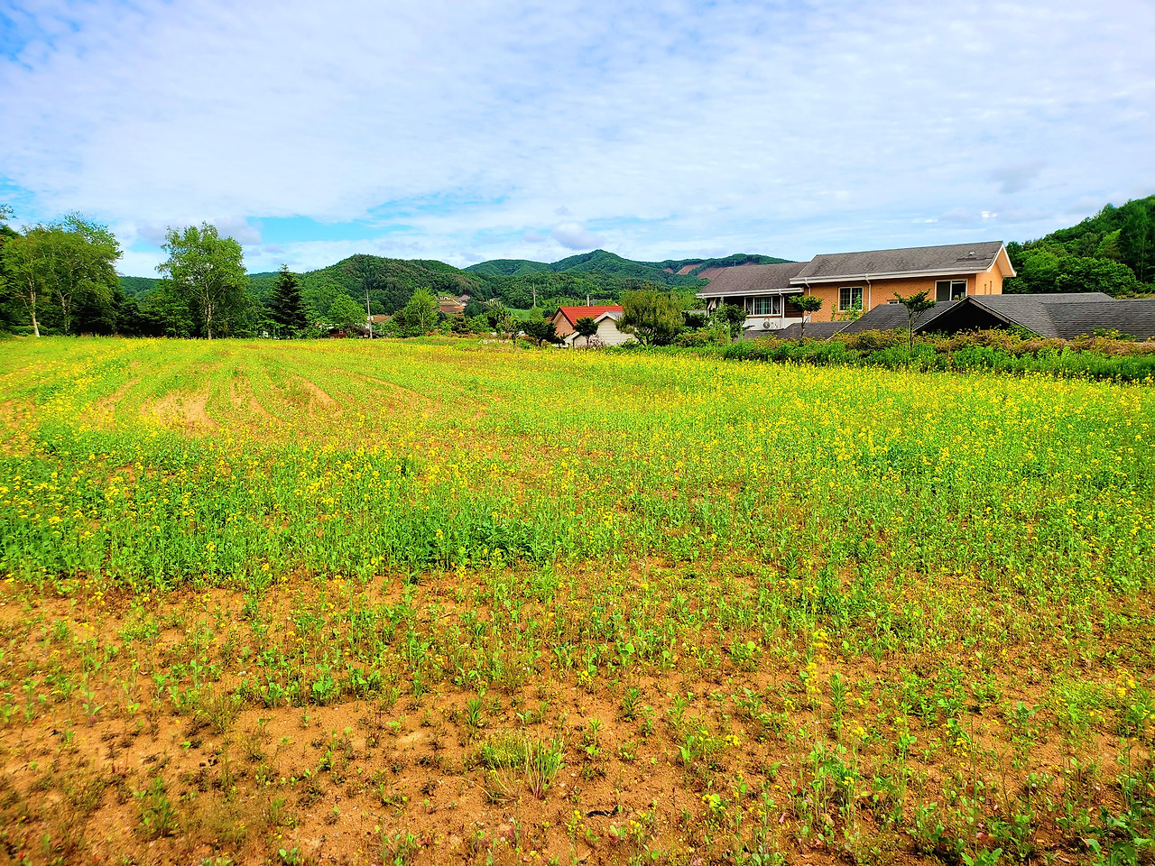 20230529_151214 (1).jpg