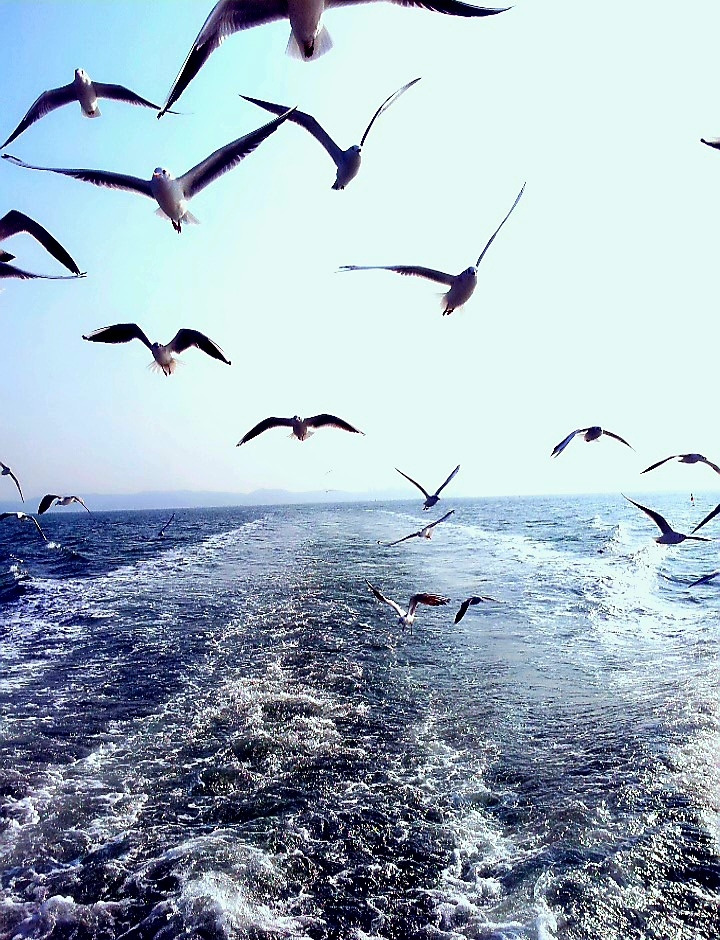 2016-02-11 08.58.30.jpg