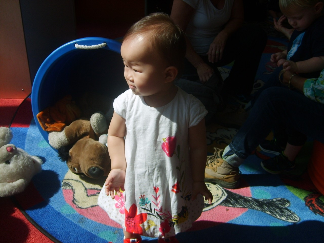 0_0ifUd018svcv57wq66umop8_q3rq1l (1).jpg