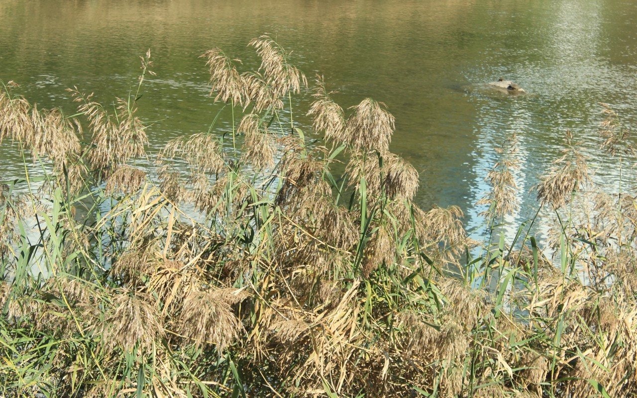 h_11dUd018svc27udx93l3b46_q3rq1l (1).jpg