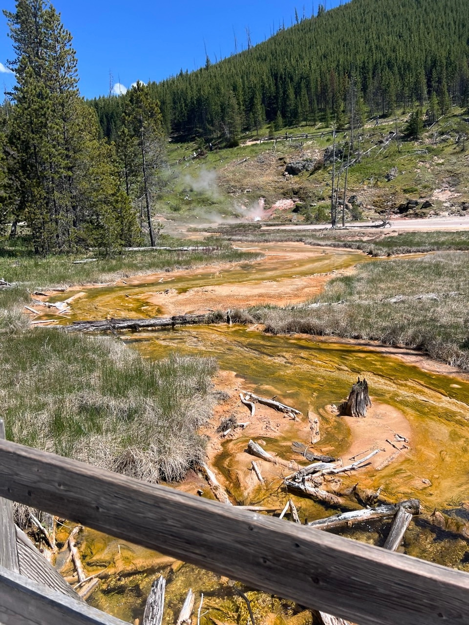 _e_3733i6_2_11dUd018svcr6wq1o5ca45o_chcw4l (1).jpg