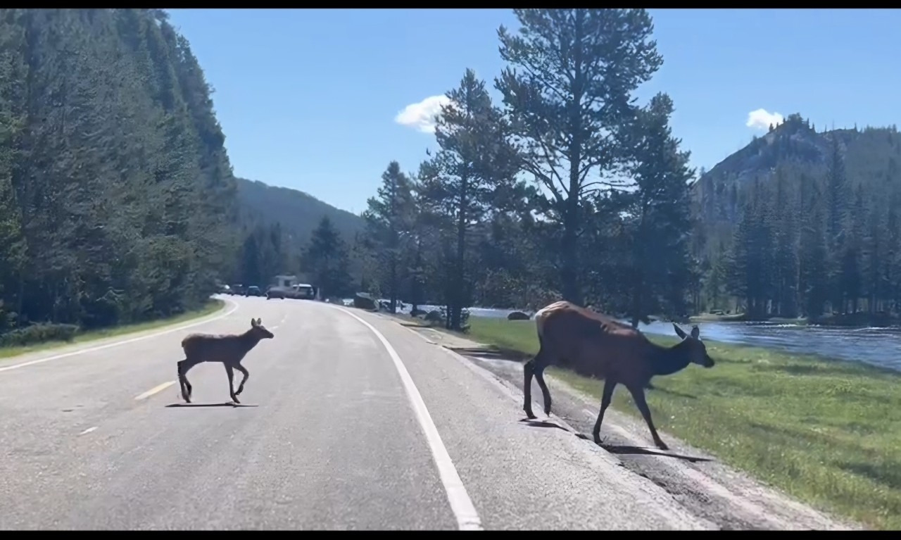 i_a57Ud018svc140t3oqwu6171_q3rq1l (1).jpg