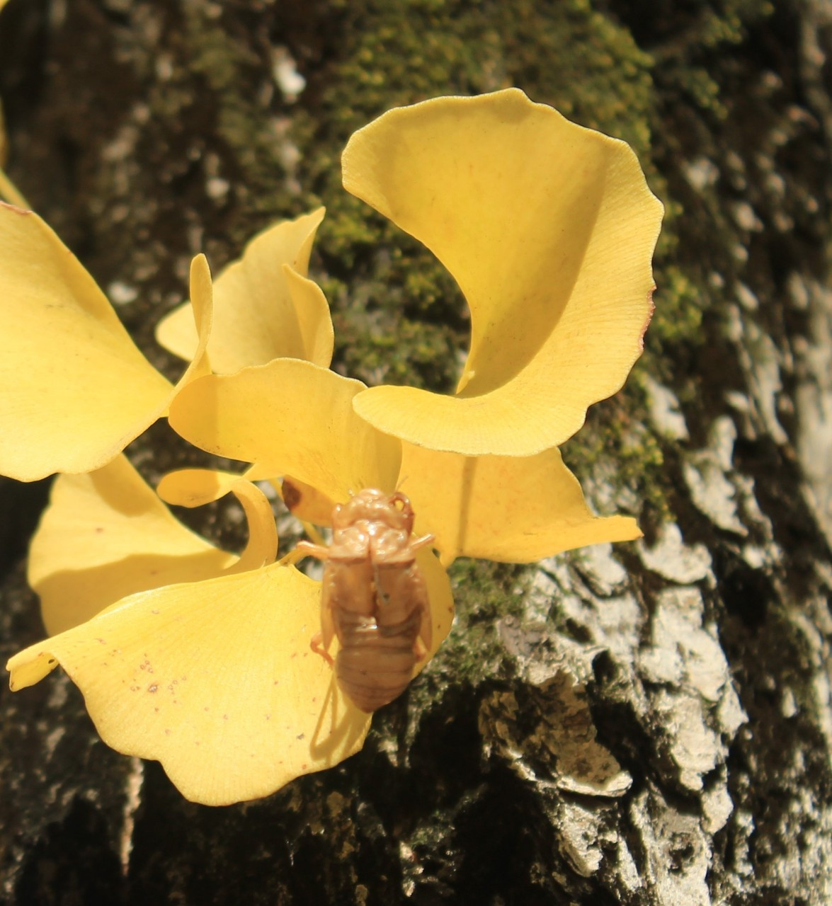 h_g1dUd018svc5mt2yqsbt4lg_q3rq1l (1).jpg