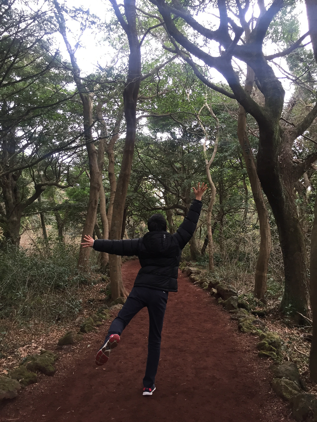 2016-01-02 15.31.41.jpg