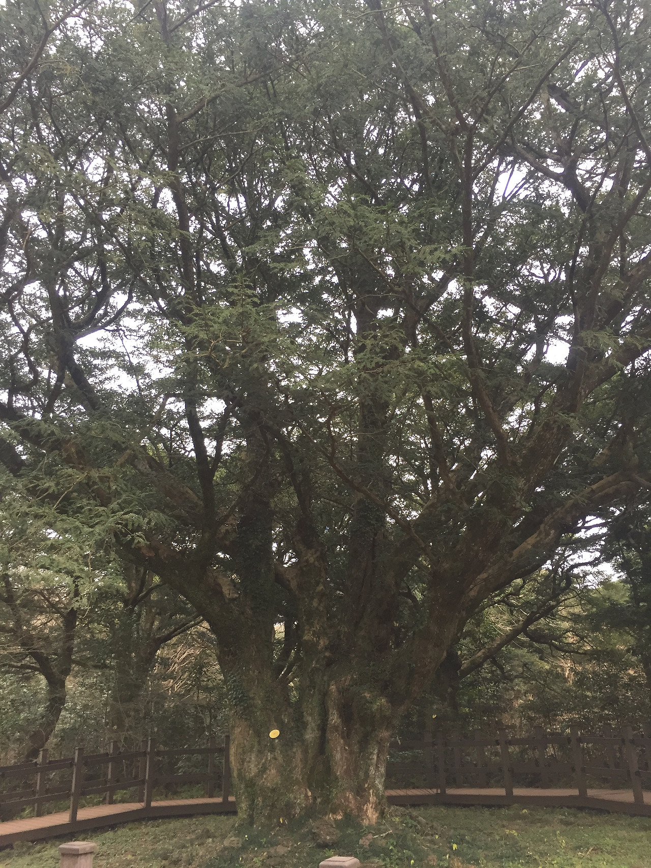 2016-01-02 16.03.35.jpg