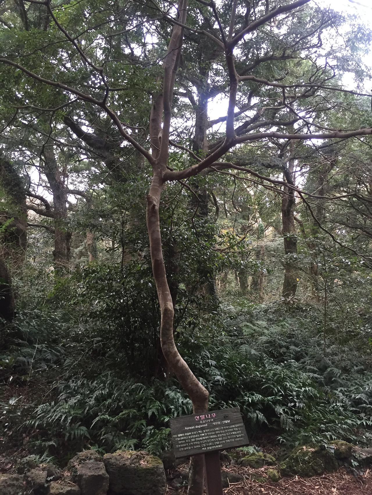 2016-01-02 15.28.16.jpg