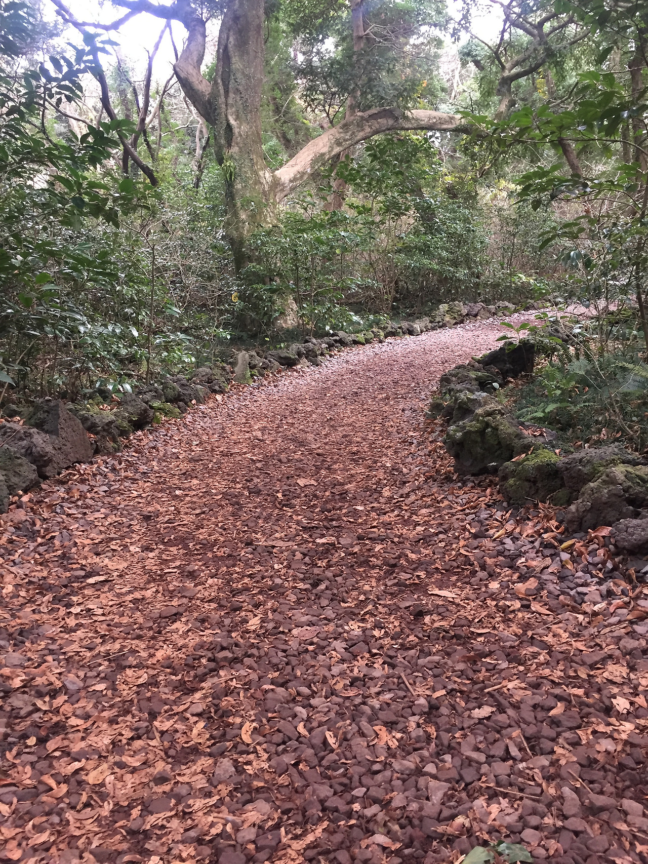 2016-01-02 15.48.28.jpg