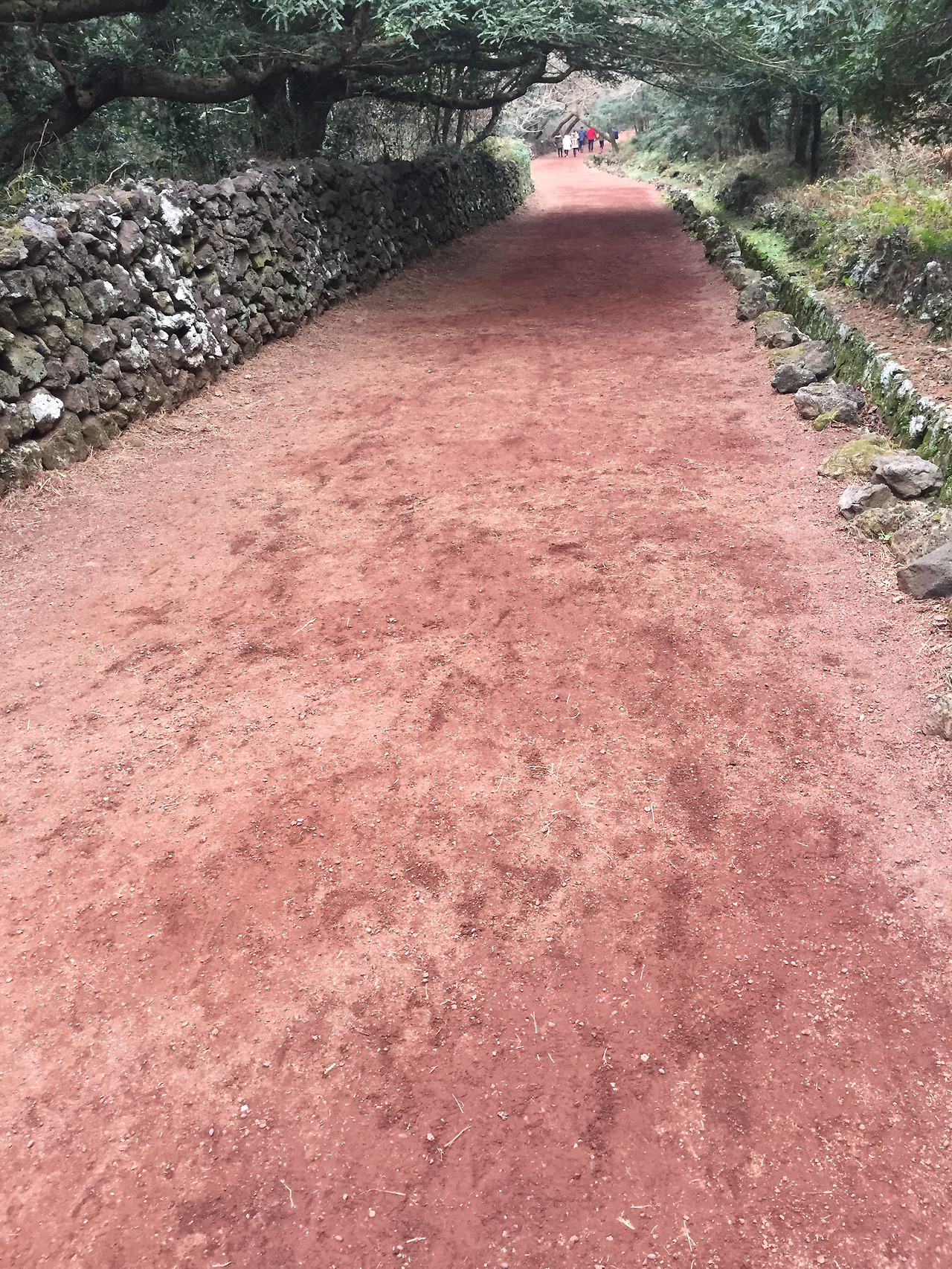 2016-01-02 16.18.44.jpg