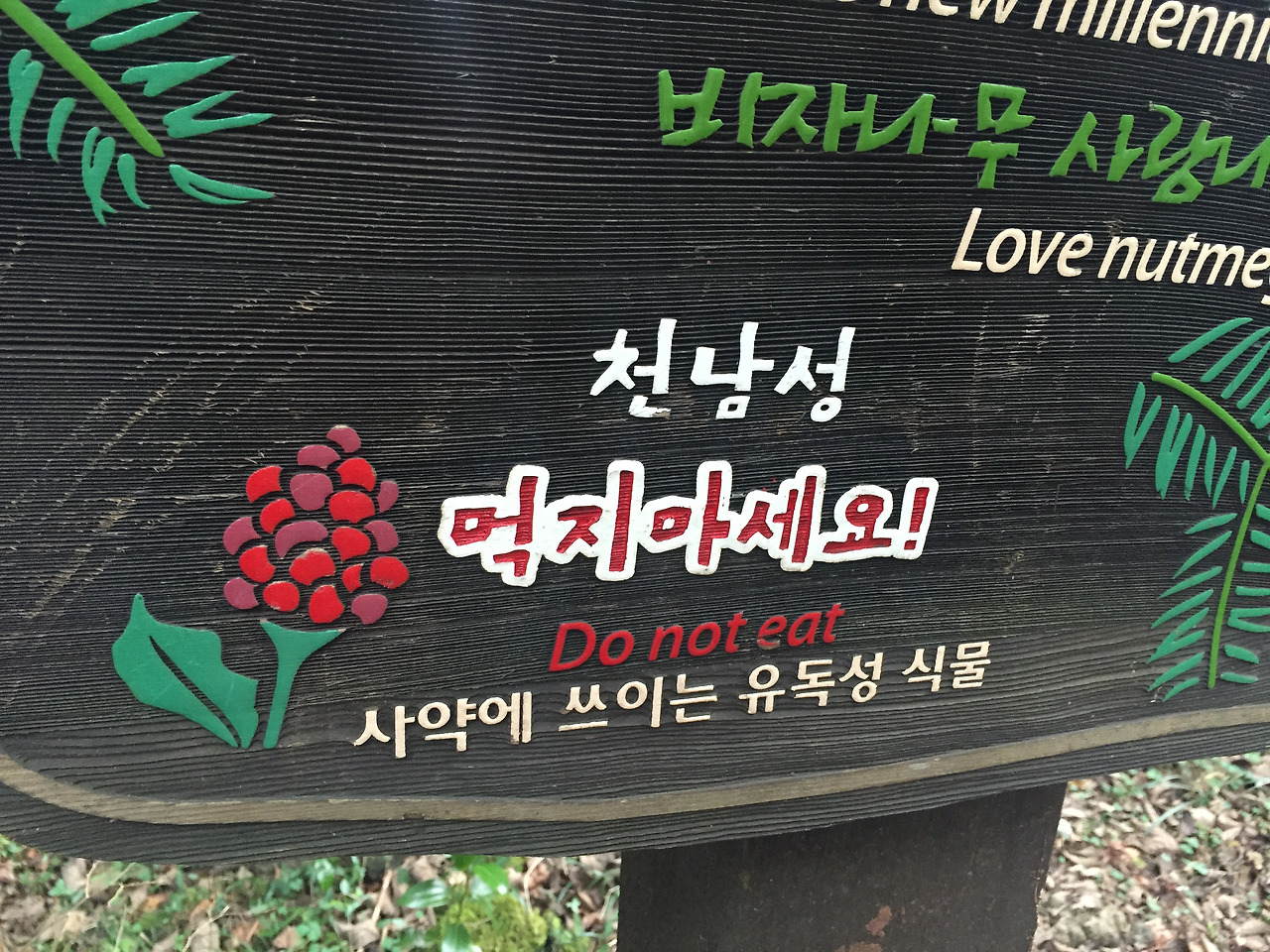 2016-01-02 15.55.33.jpg