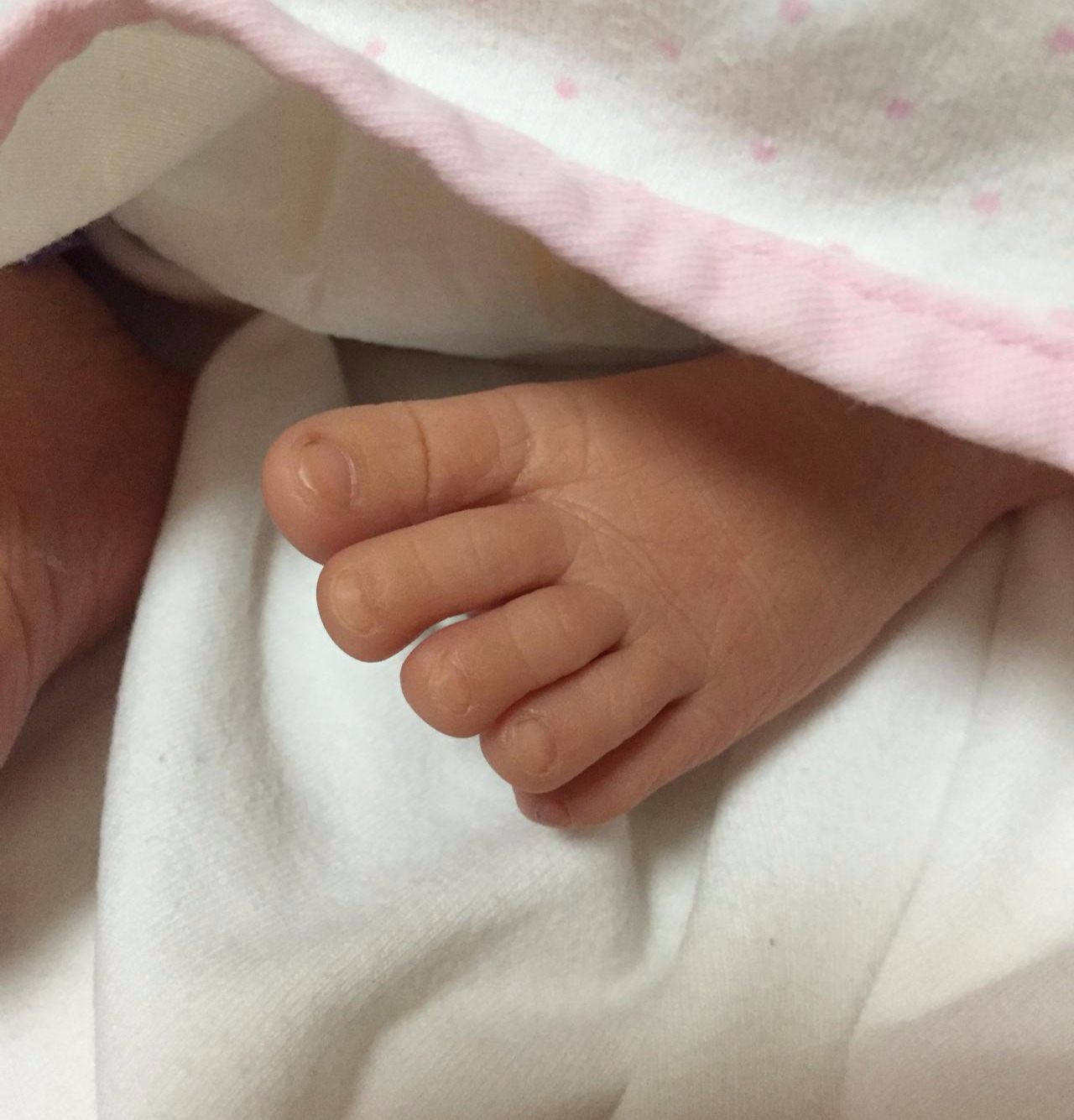 2016-04-02 10.02.29.jpg