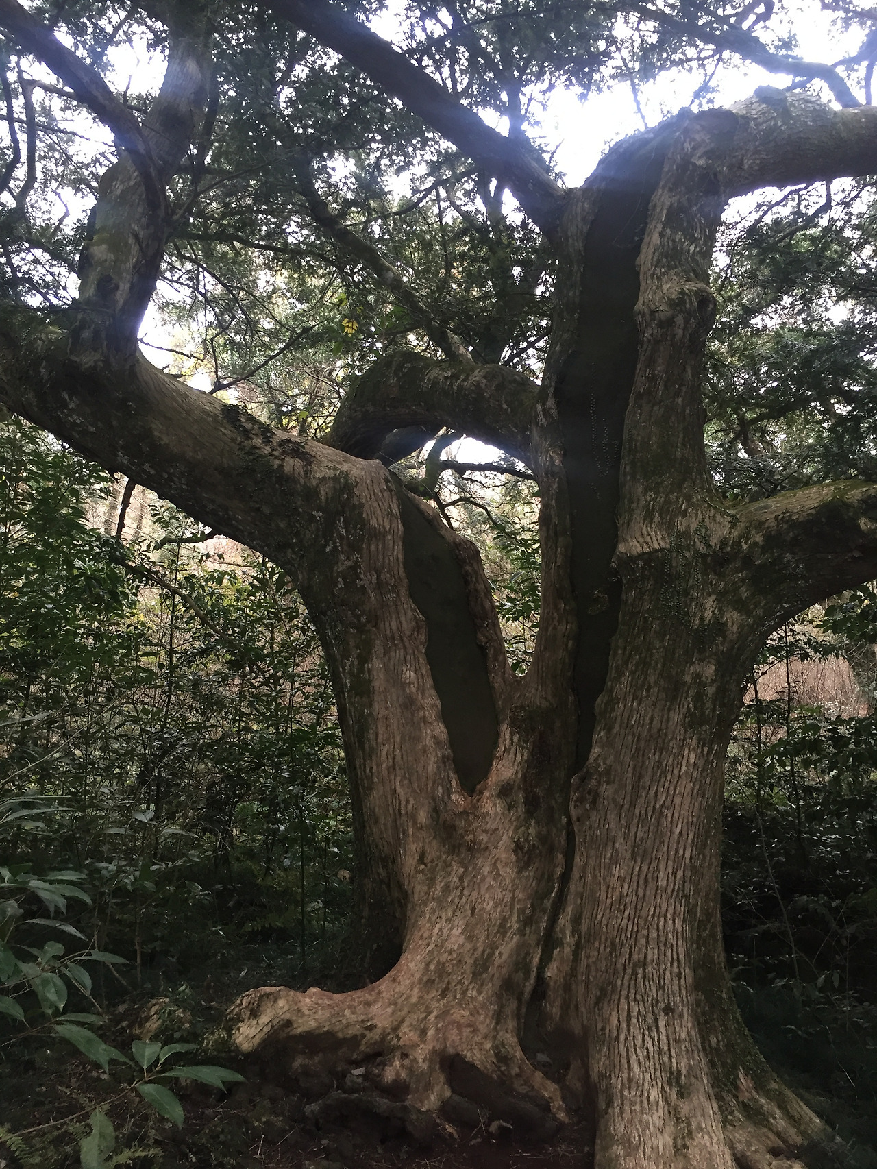 2016-01-02 15.57.02.jpg