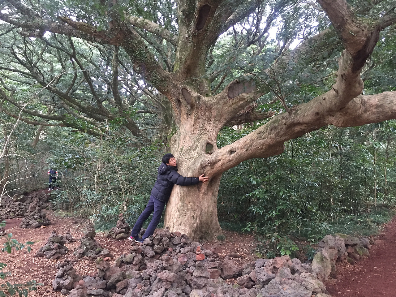 2016-01-02 15.46.09.jpg