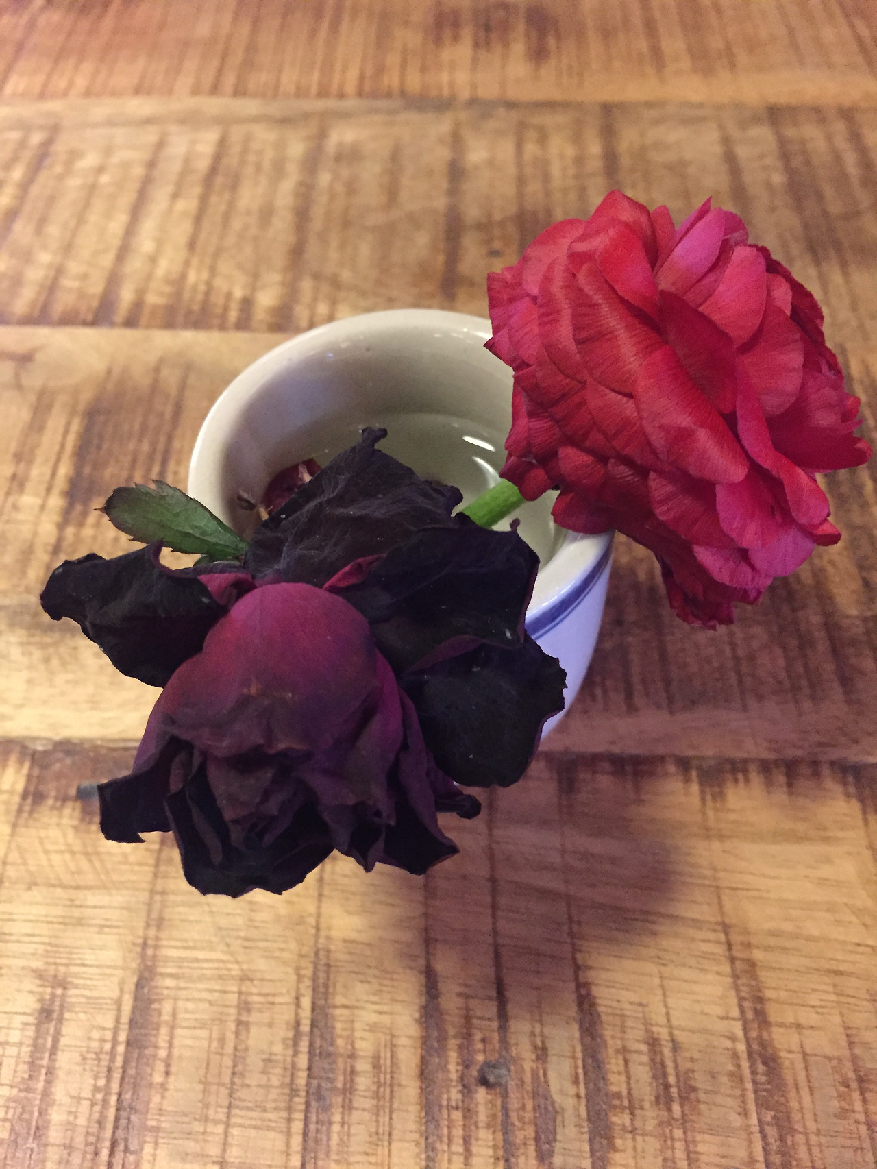 2016-01-02 17.00.17.jpg