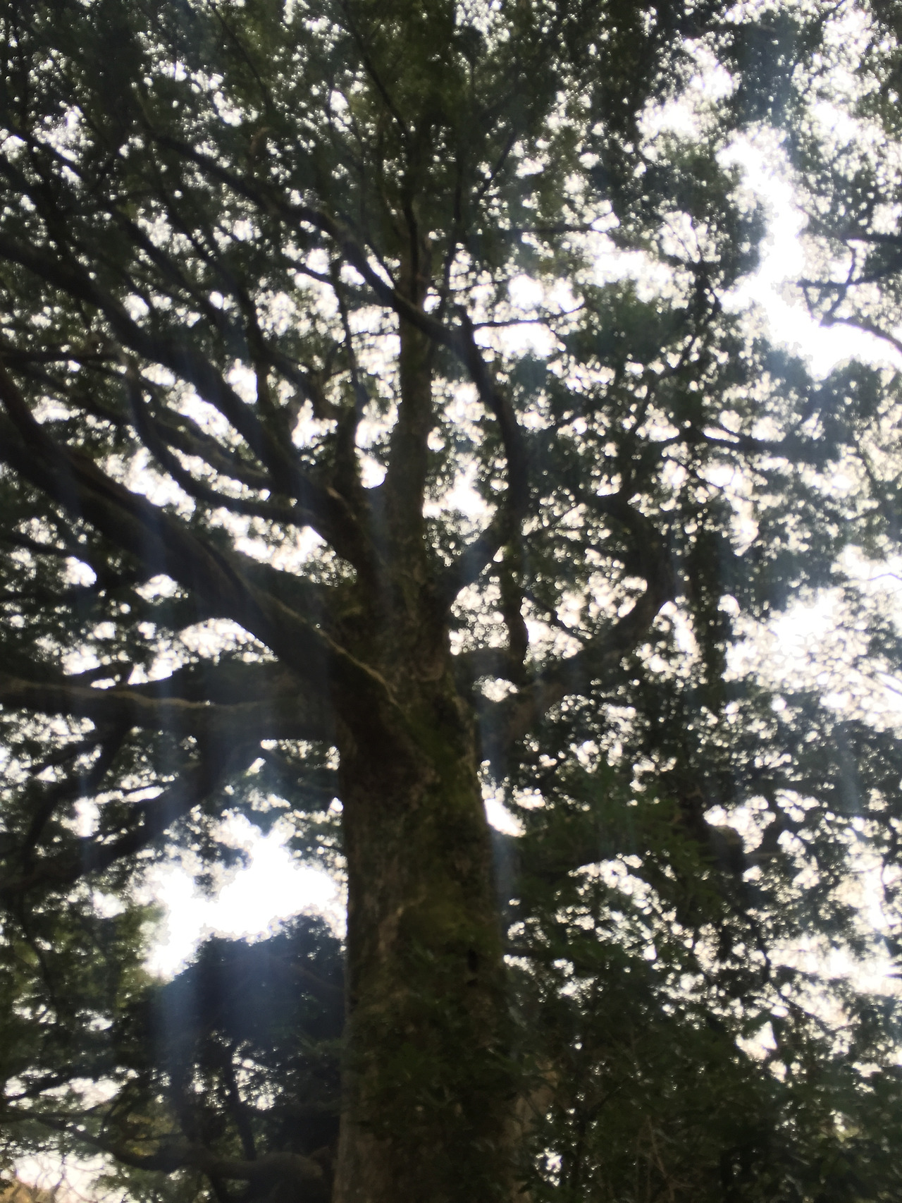 2016-01-02 15.49.50.jpg