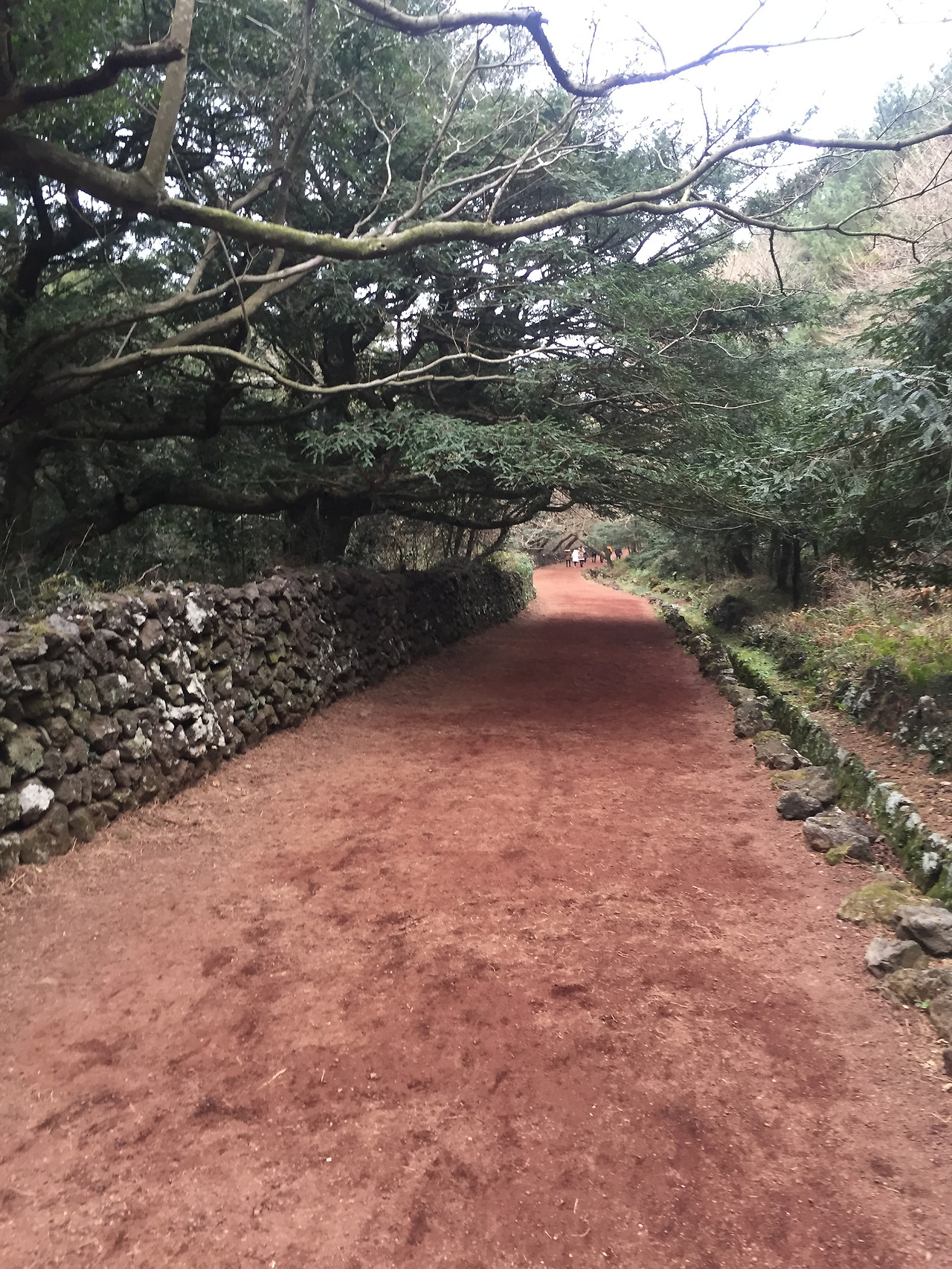 2016-01-02 16.18.49.jpg