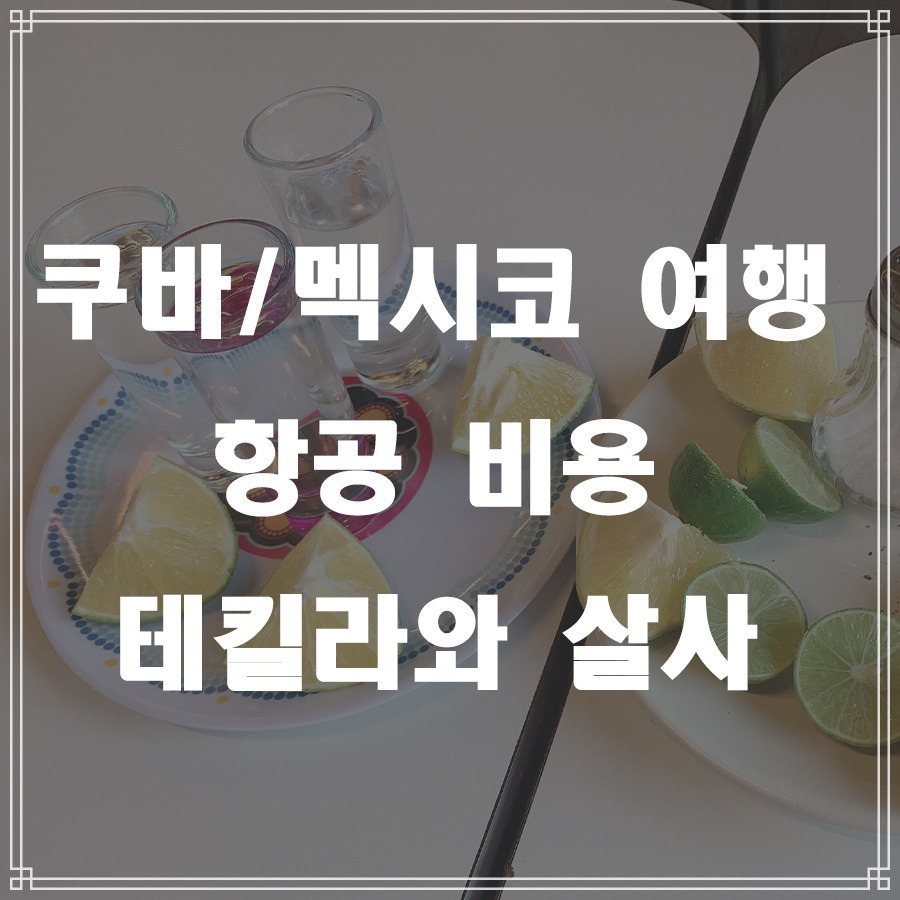 쿠바멕시코항공비용.jpg
