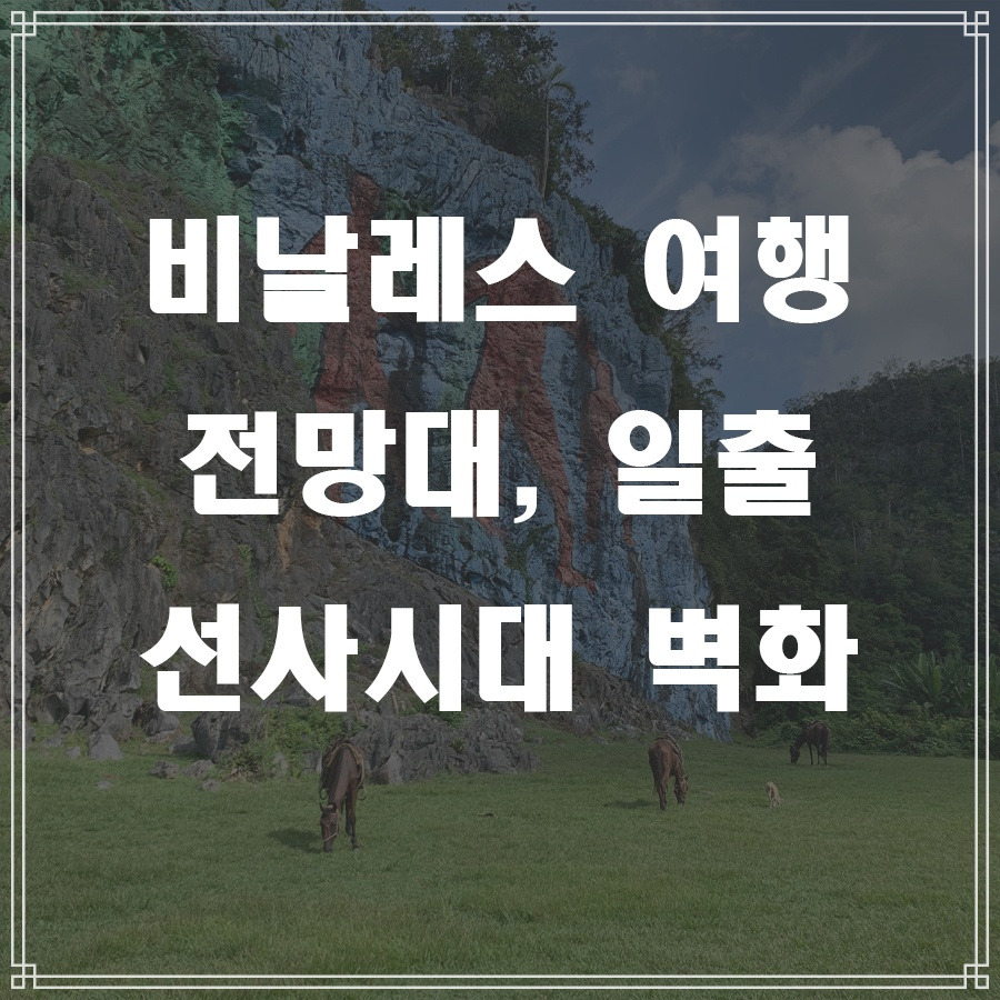 비날레스 선사시대.jpg