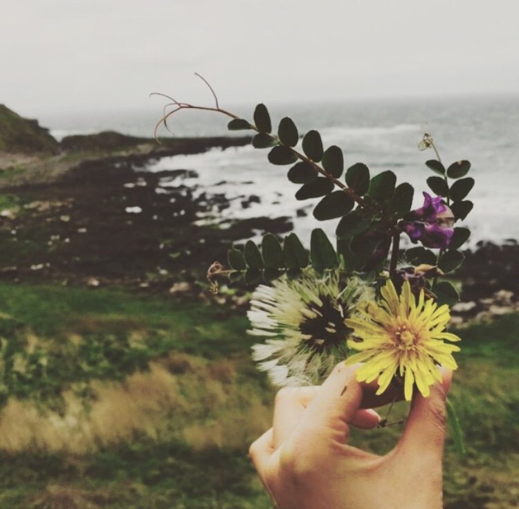 giant's causeway4.jpg