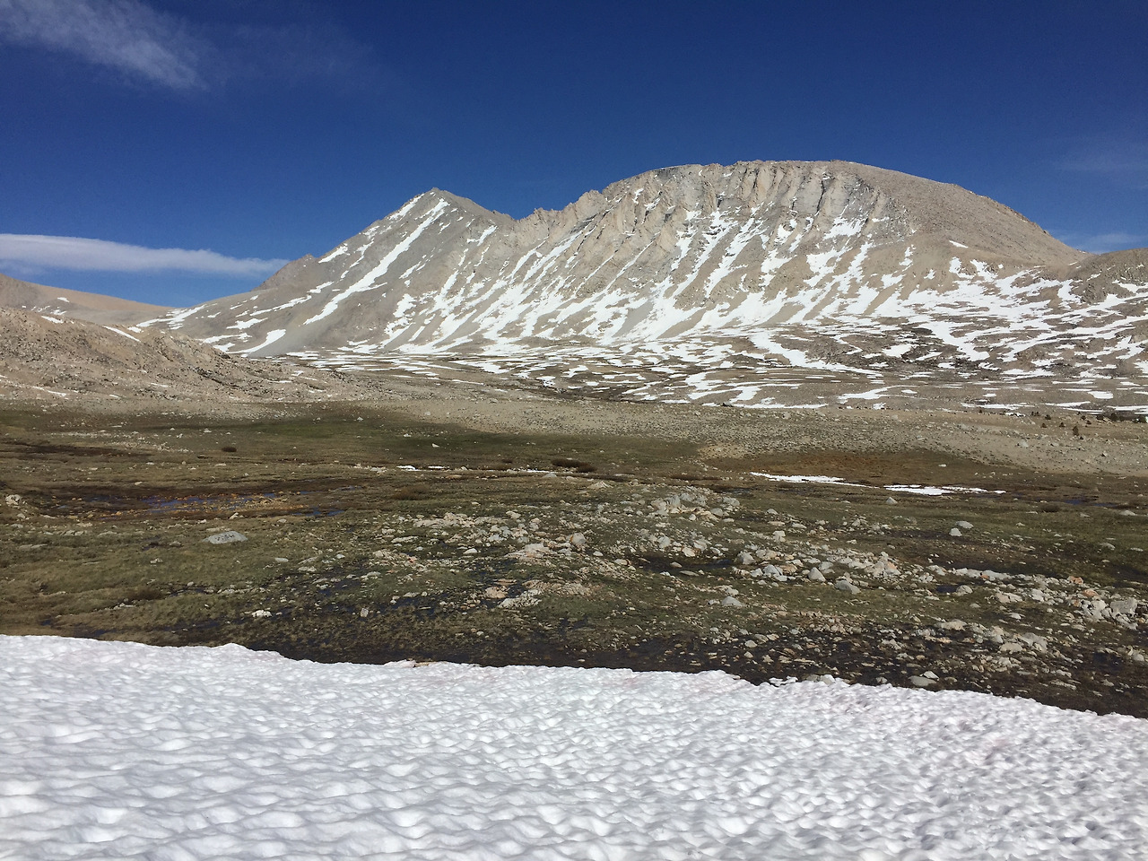 2016-06-07 16.32.48.jpg