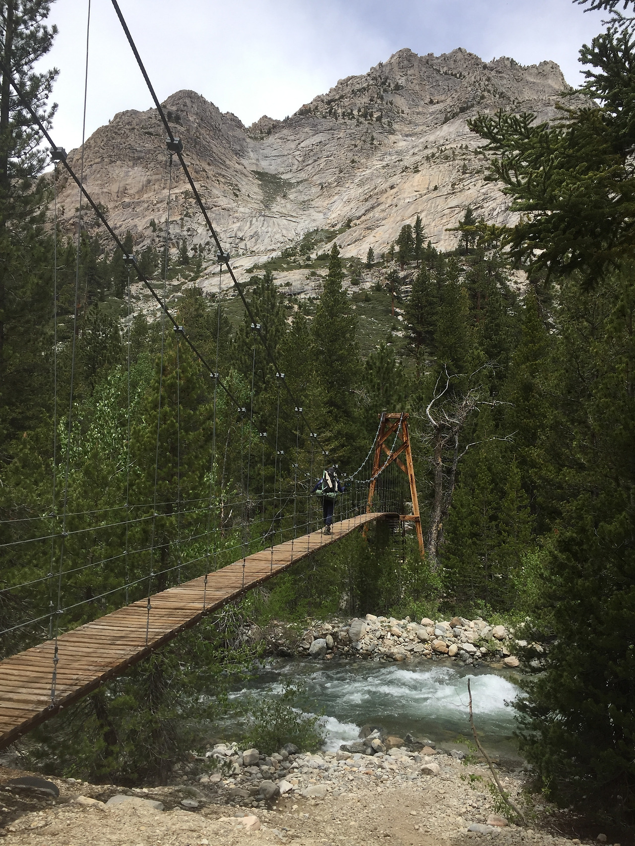 2016-06-10 11.36.39.jpg