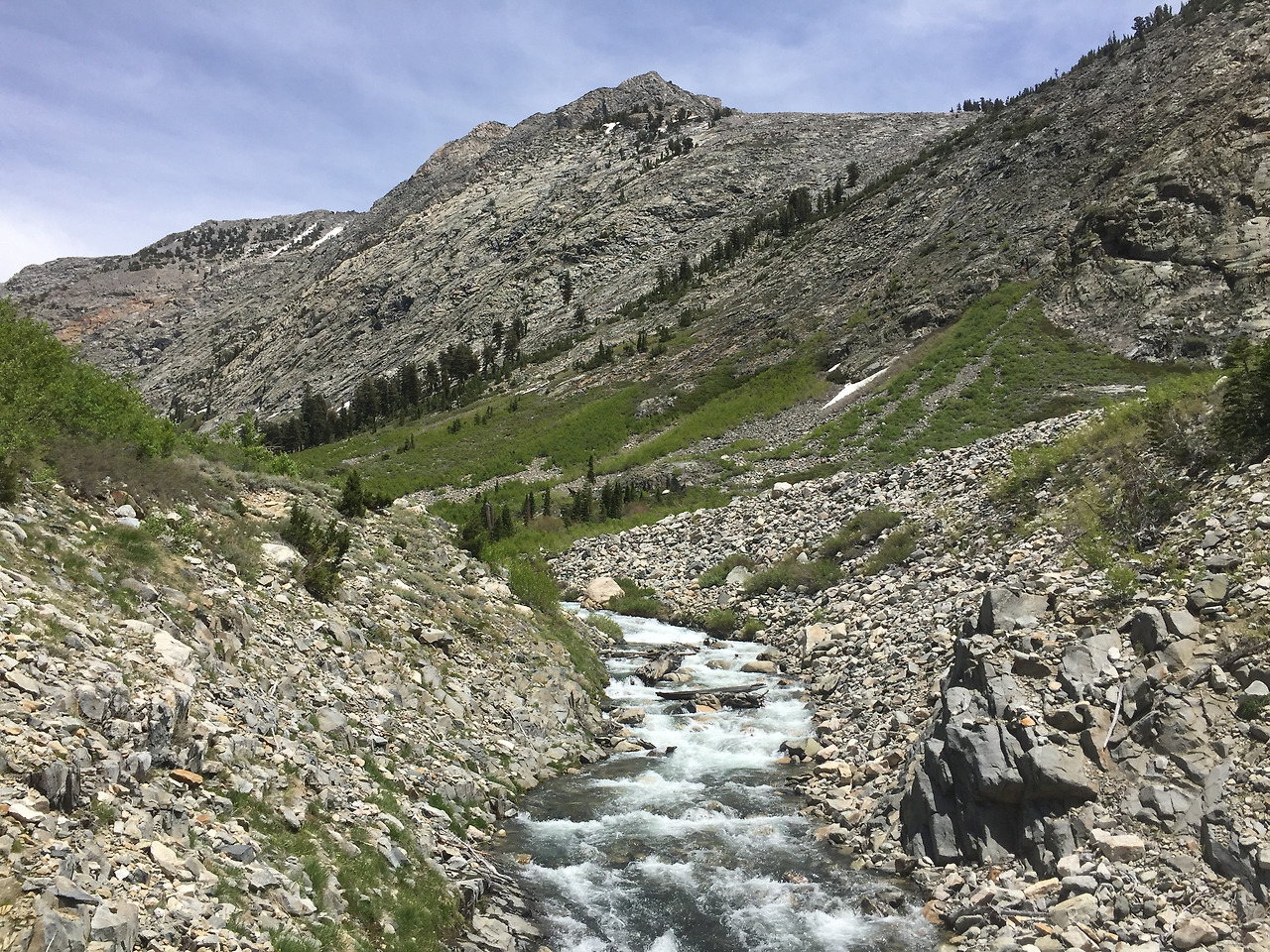 2016-06-10 13.13.10.jpg