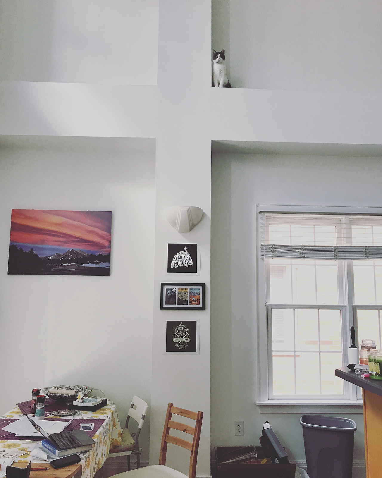 2017-08-18 12.25.22-1.jpg