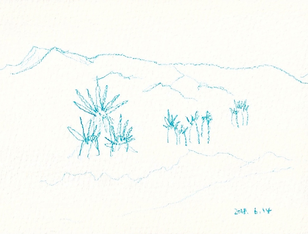 길 풍경1_편집.jpg