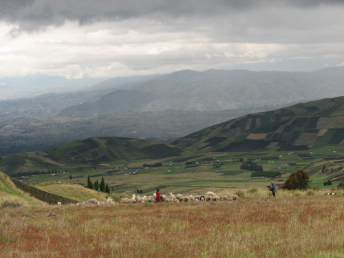 다운로드 (10).jpg