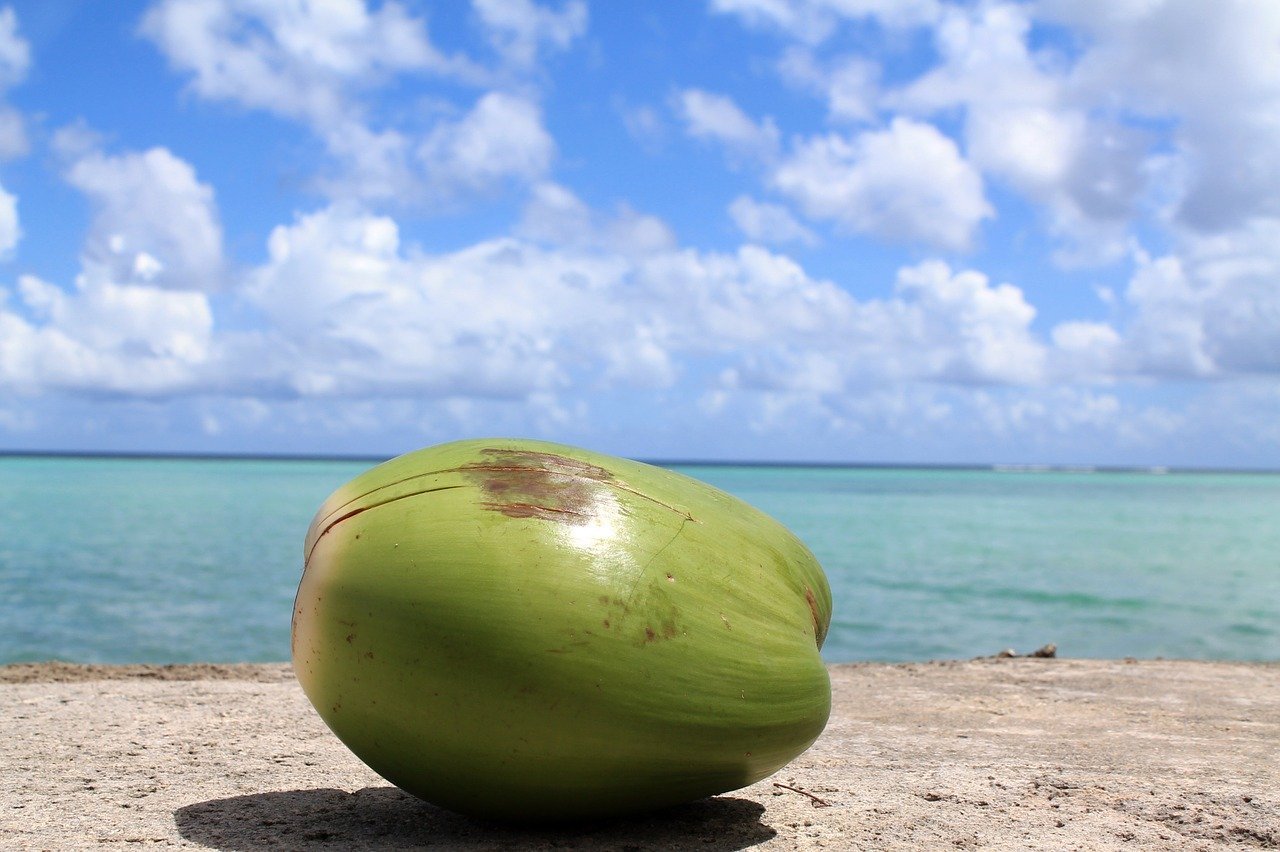 coconut-1179414_1280.jpg