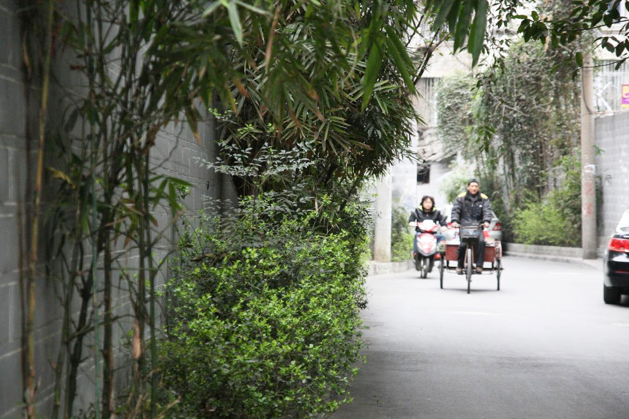 로잔과청두 075.jpg